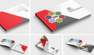 thiết kế catalogue đẹp